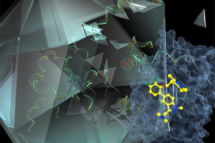 Впервые найден эффективный способ победить простуду