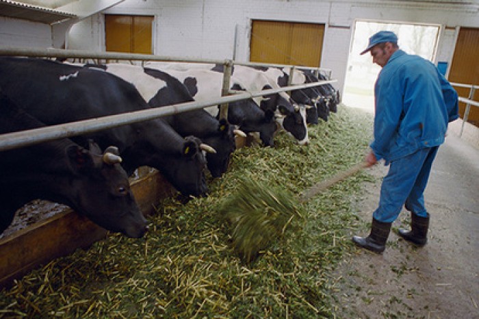 Белоруссия обвинила Россию в неадекватности