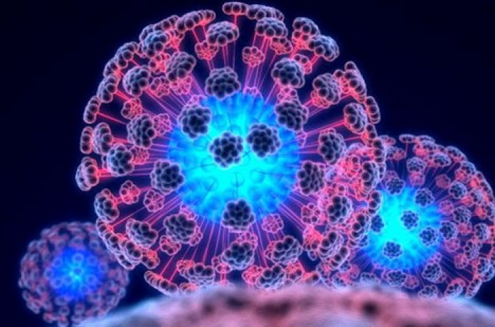 Исследователи узнали, что делает грипп супервирусом