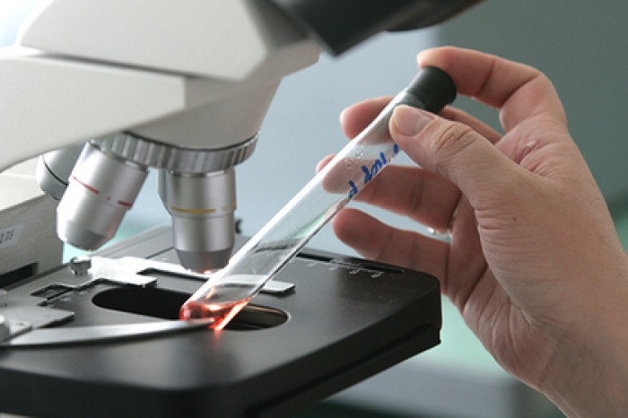 Найдено неожиданное средство от опухоли мозга