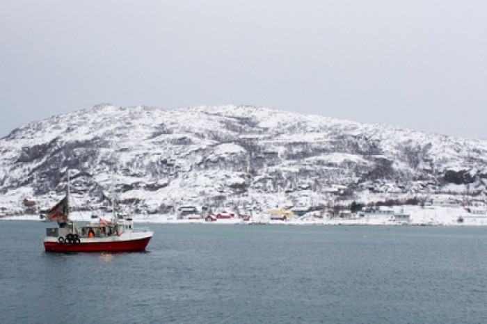 Предсказана климатическая катастрофа в России