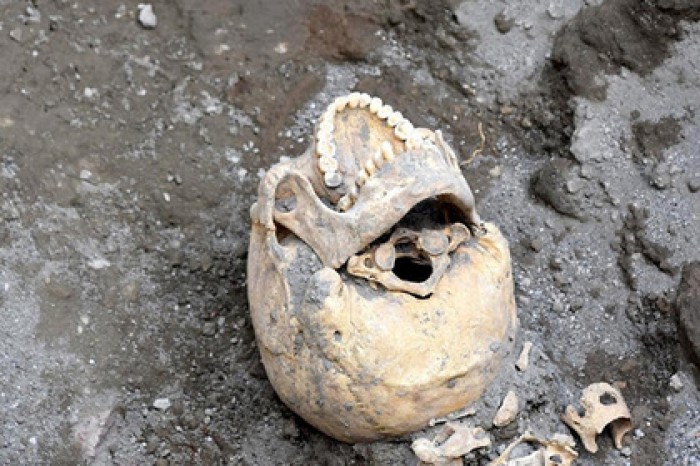 Раскрыта реальная причина смерти «пережившего» извержение Везувия инвалида