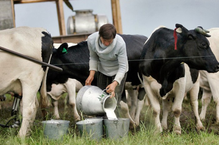 Россия пошла на уступки в торговой войне с Белоруссией