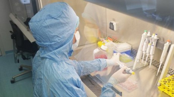 Ученые получили детальное изображение вируса Зика