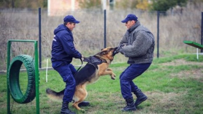 В Молдове состоялся "кинологический биатлон"