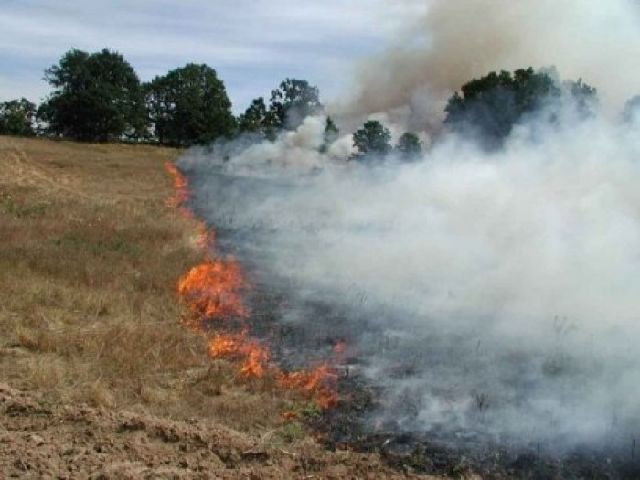 В Придестровье огонь погубил 2,3 гектара пшеницы