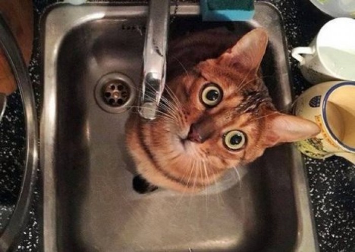 В столице запланированы отключения воды по некоторым адресам