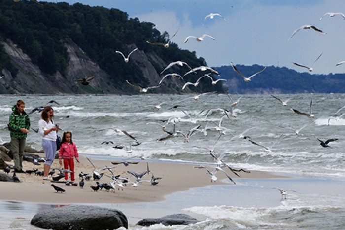 Балтийскому морю предрекли необратимую катастрофу