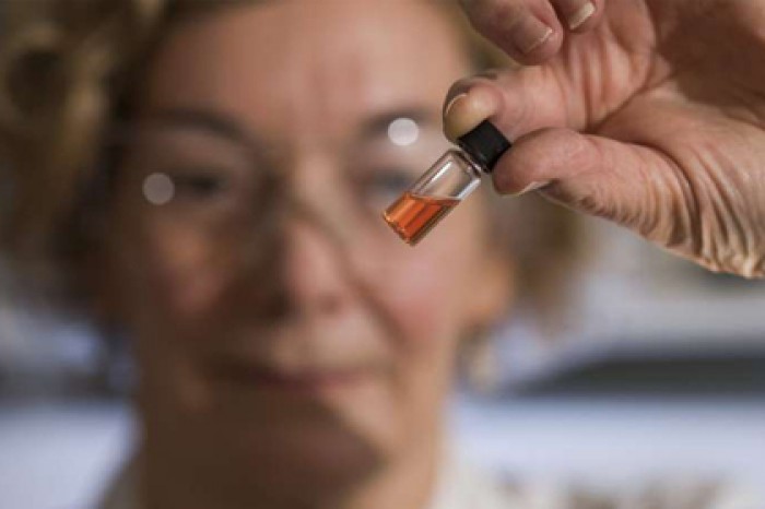 Найдена созданная миллиард лет назад розовая краска