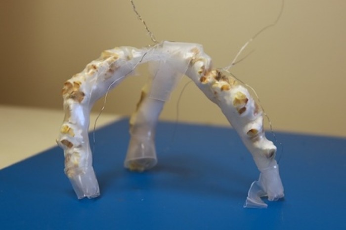 Попкорн сделали двигателем для роботов