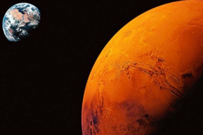 Ученые нашли бактерию, которая может выжить на Марсе