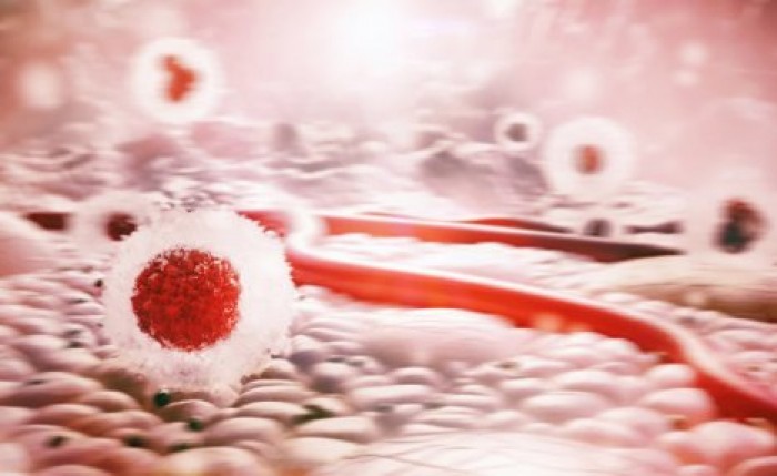 Ученым почти удалось "отключить" рак в организме человека