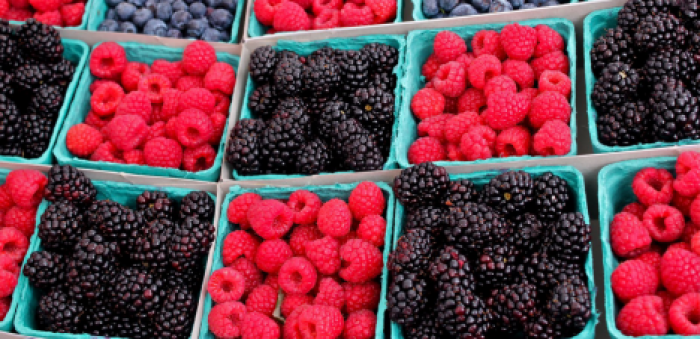 В Кишиневе состоялась ярмарка молдавских ягод "Summer Berry Fair"