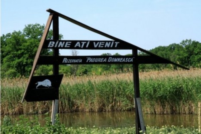 Заповеднику "Pădurea Domnească" исполнилось 25 лет