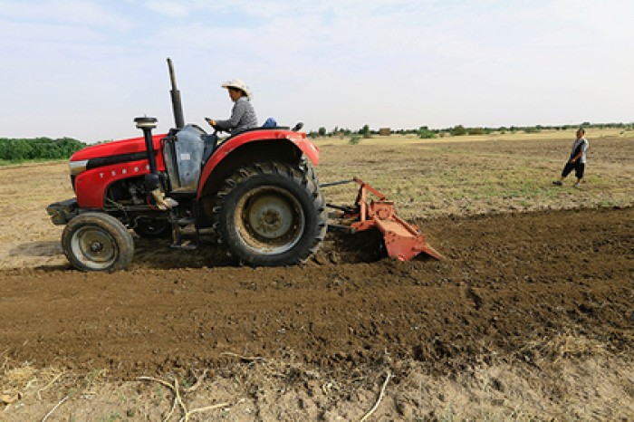 Дальневосточные гектары отдадут китайцам
