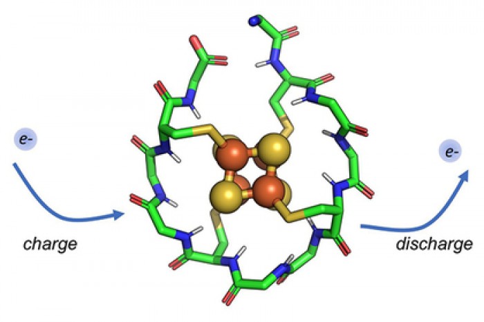 Доказано спонтанное происхождение жизни