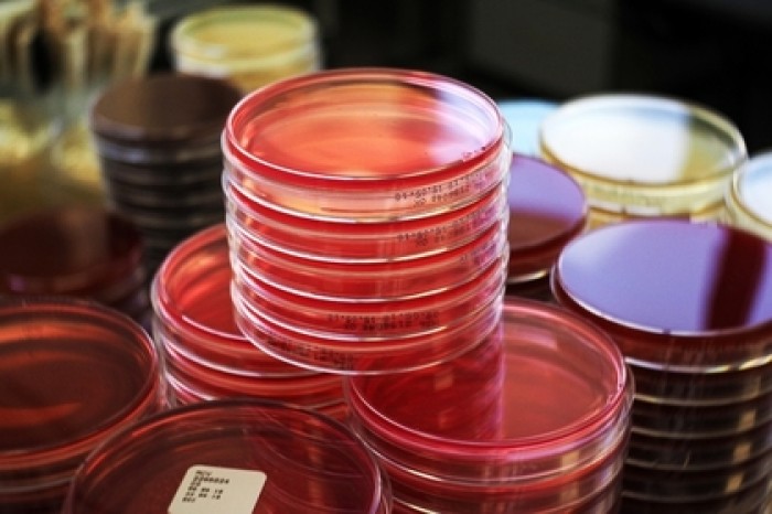 Найдено эффективное и безопасное средство от рака