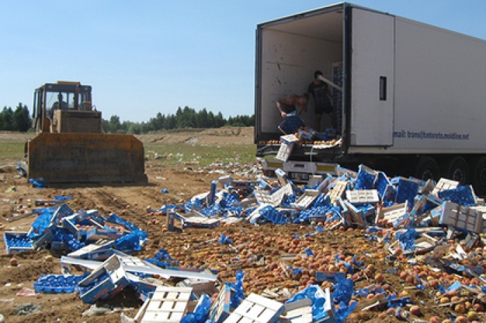 Подсчитаны потери Запада от российских санкций