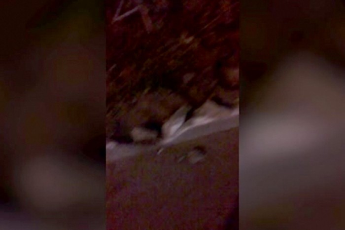 Появилось видео с места ДТП с участием Смолова