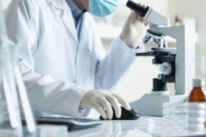 У человека обнаружили неизвестные ранее клетки