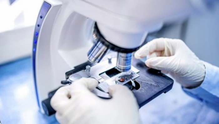 Ученые прогнозируют возвращение болезни 18 века