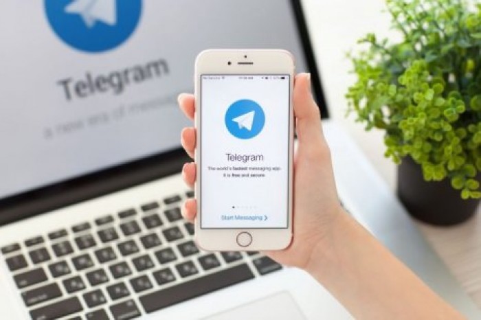 В Telegram появилась возможность скачать все свои данные