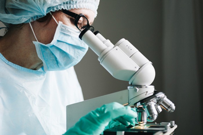 Доказано существование случайной эволюции