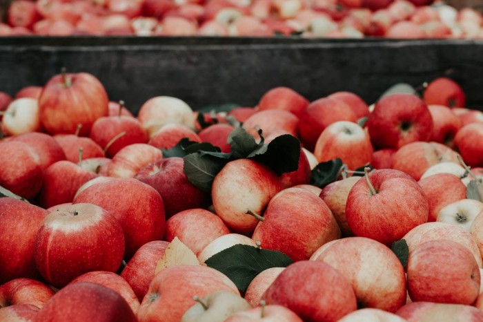 Moldovan apples to be exported to India for first time