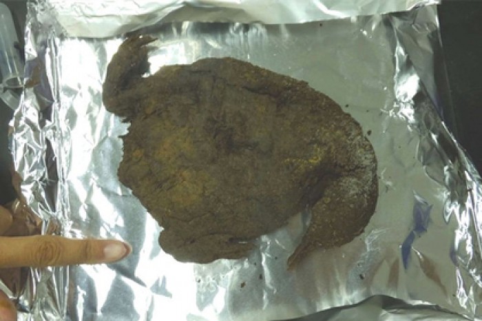 Обнаружены последствия смертоносной катастрофы