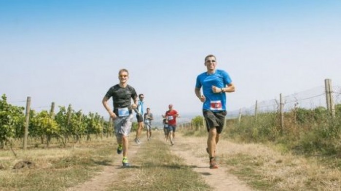 Спортсмены из Молдовы, Украины, России и Франции приняли участие в трейловом забеге по виноградникам