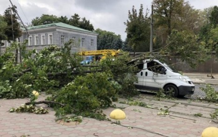 В Одессе ветер валит деревья