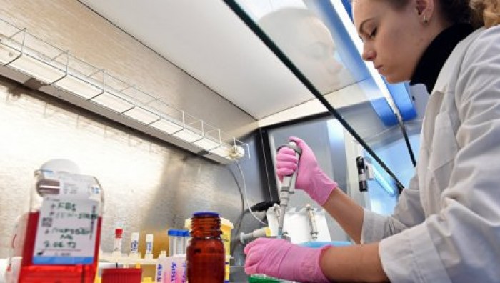 ВОЗ назвала самую опасную инфекцию