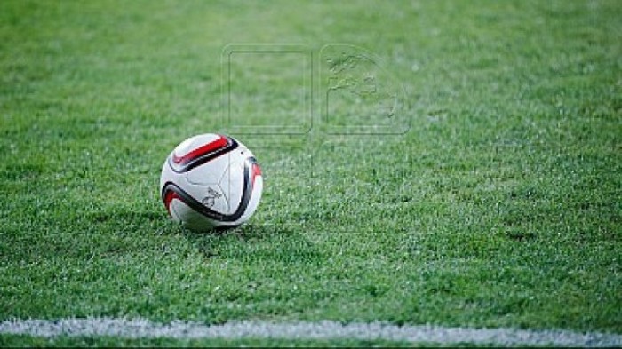 День молдавского спорта прошел в итальянской Падуе