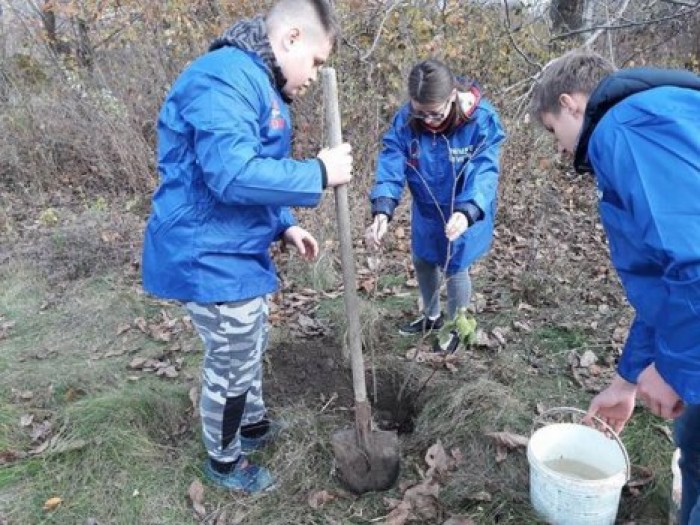 ДПМ проведет 27 октября национальное мероприятие по озеленению