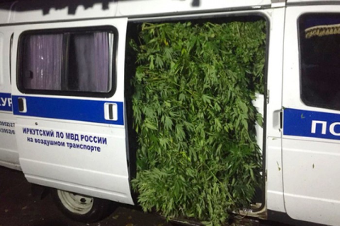 Оперативники показали полную «Газель» марихуаны