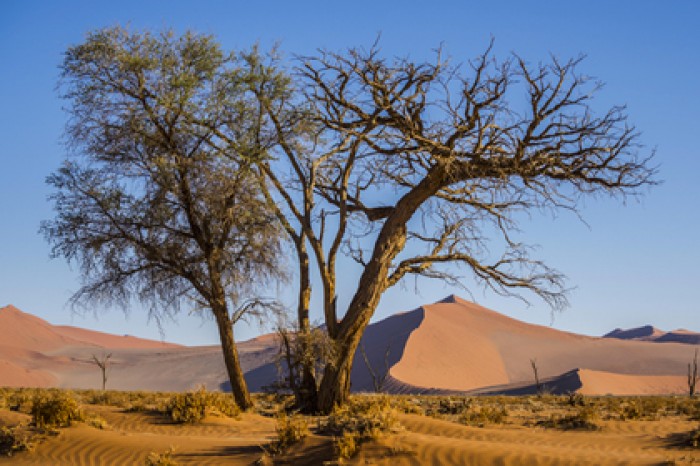 Предсказано неизбежное наступление катастрофических засух