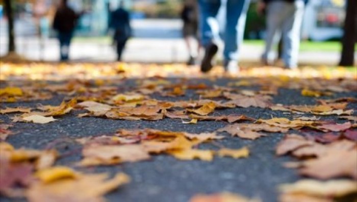 Психологи рассказали, как побороть осеннюю депрессию
