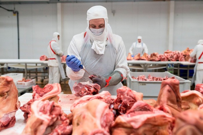 Россия отказалась спорить из-за европейских свиней