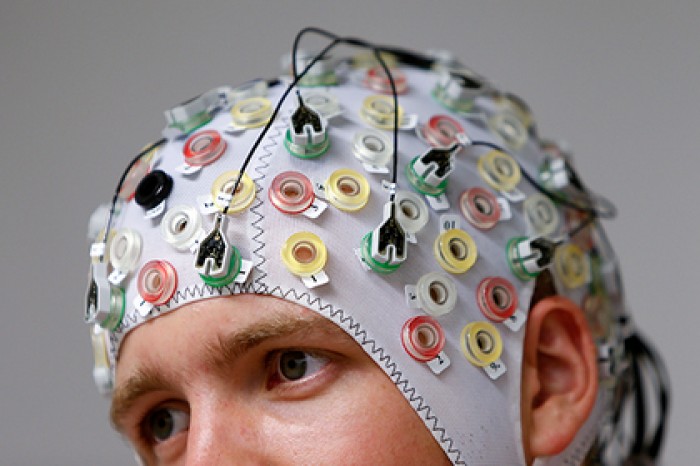 Создан коллективный разум из человеческих мозгов