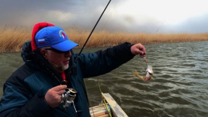 Ученые не советуют отпускать пойманных рыб на волю