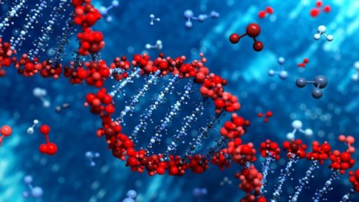 Ученые выявили новые причины повторяющихся выкидышей