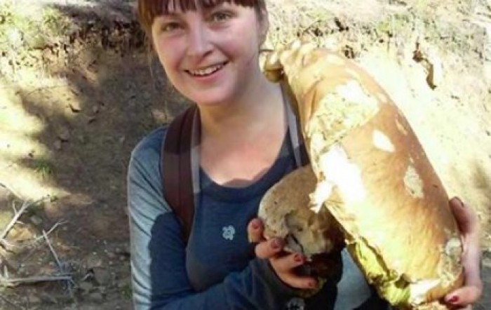 Во Львовской области нашли гигантский белый гриб