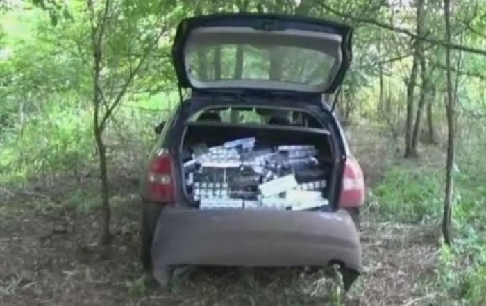 В Венгрии правоохранители гонялись по лесу за украинским контрабандистом