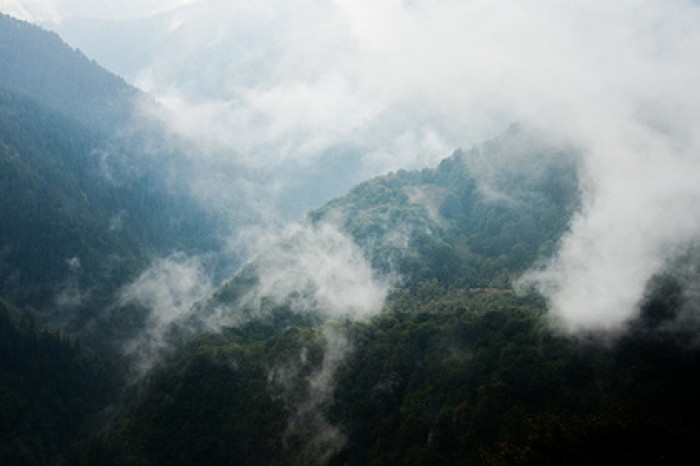 Борьбу с глобальным потеплением признали экономически невыгодной