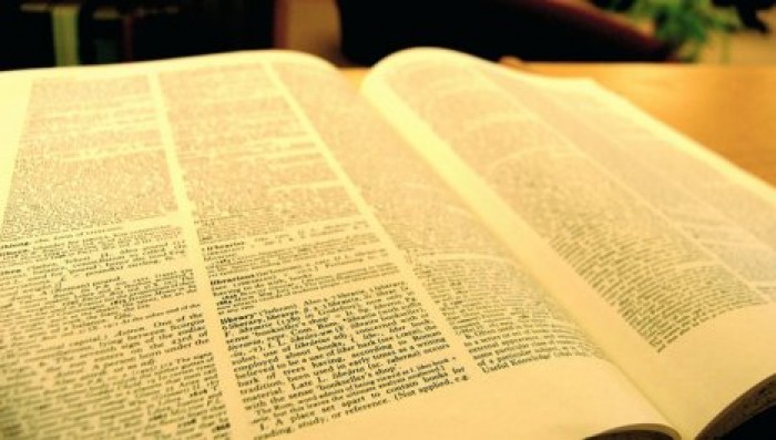 Британский словарь Collins назвал слово года