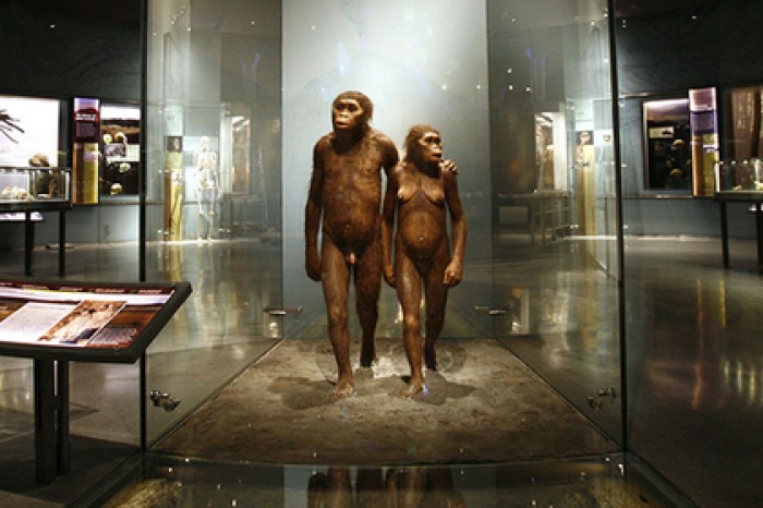 Древние люди оказались любителями неандертальцев