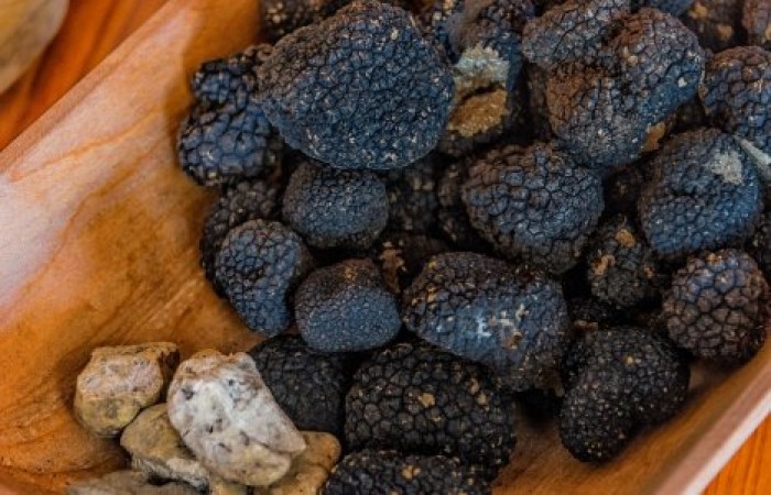 Генетики раскрыли главный секрет трюфелей
