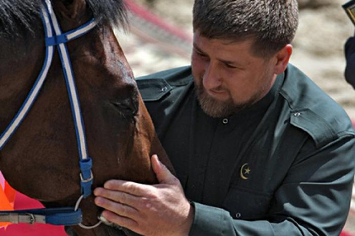 Лошади Кадырова заработали в три раза больше хозяина