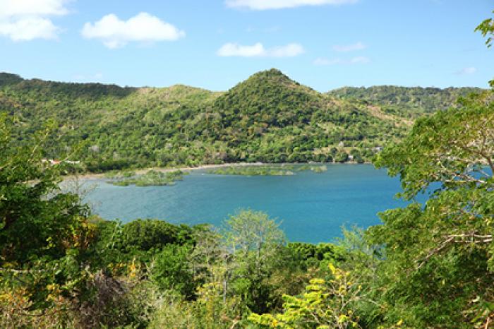 На дне океана зафиксировали загадочный гул