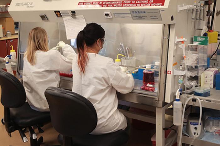 Найдена неизвестная причина гибели клеток у людей